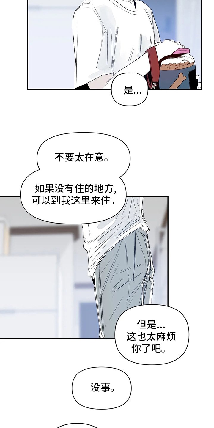 第14章：小狗