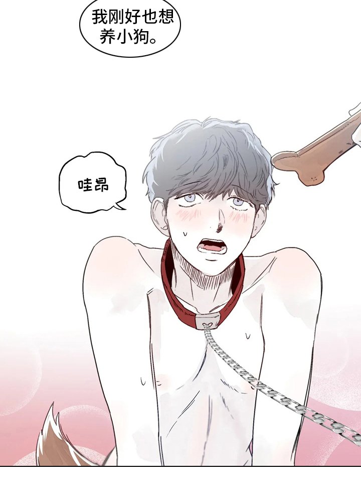 第14章：小狗