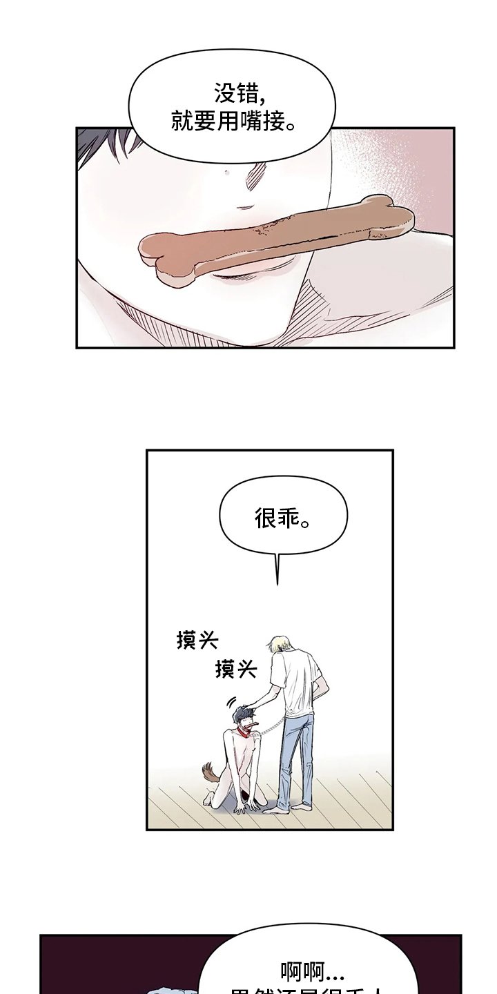 第15章：傻瓜
