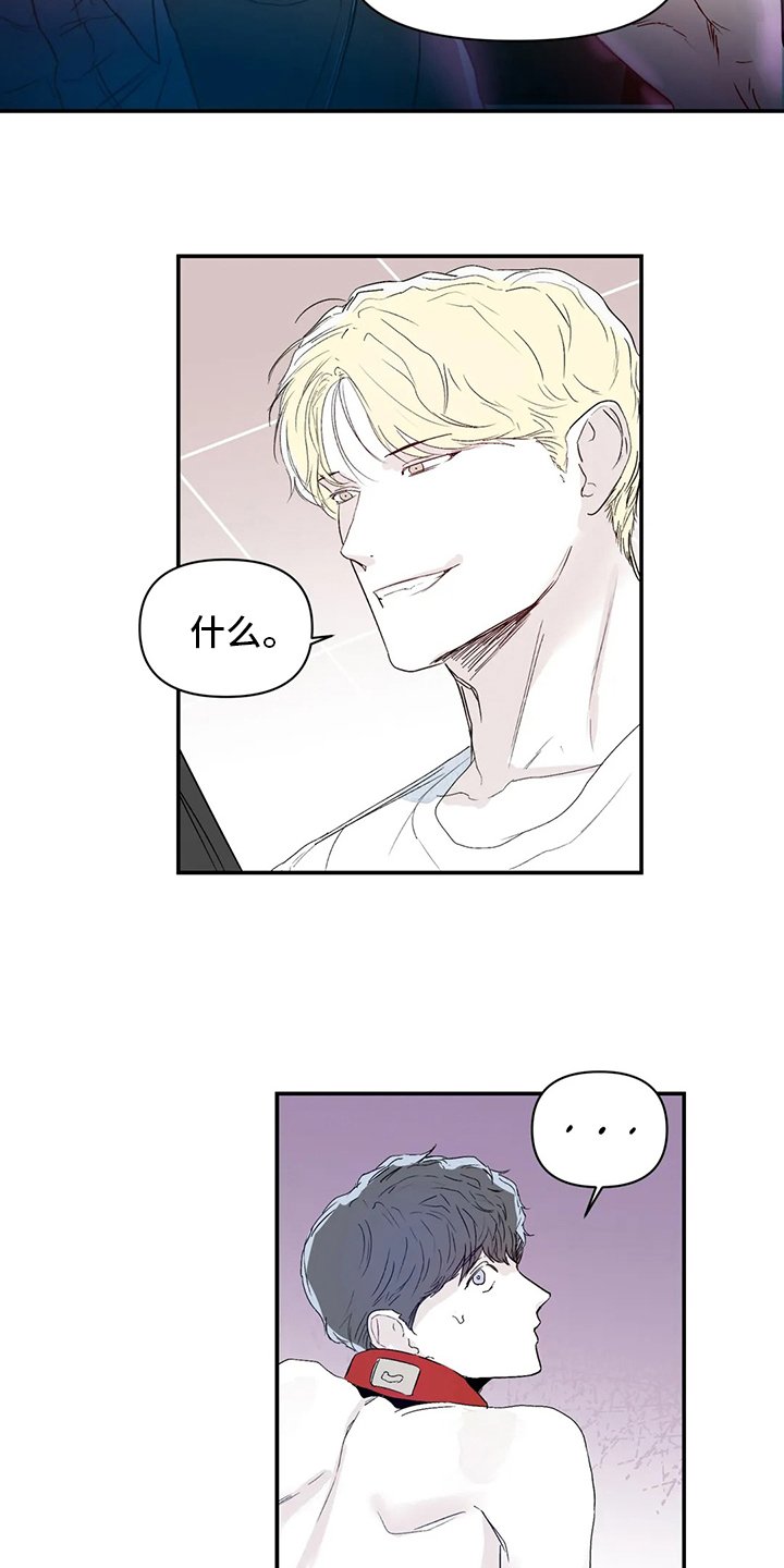 第15章：傻瓜