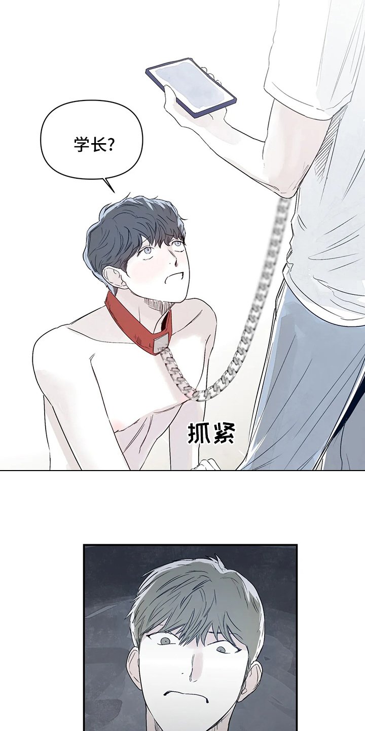 第15章：傻瓜