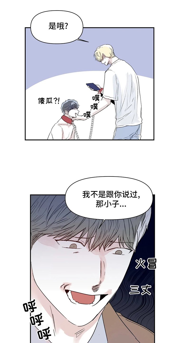 第15章：傻瓜
