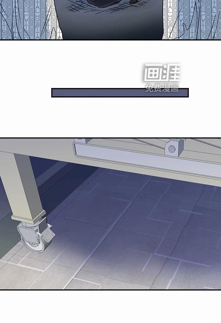 第40章：傻瓜