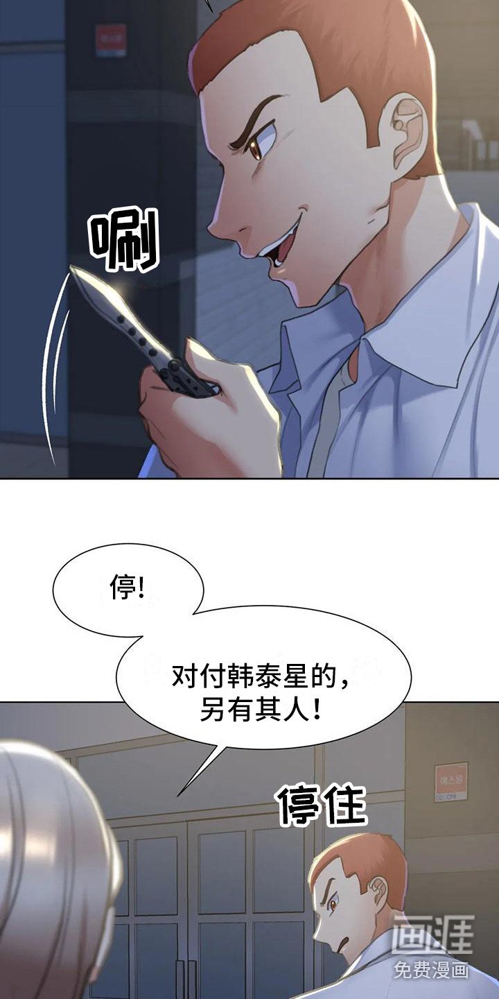 第17章：成员集合