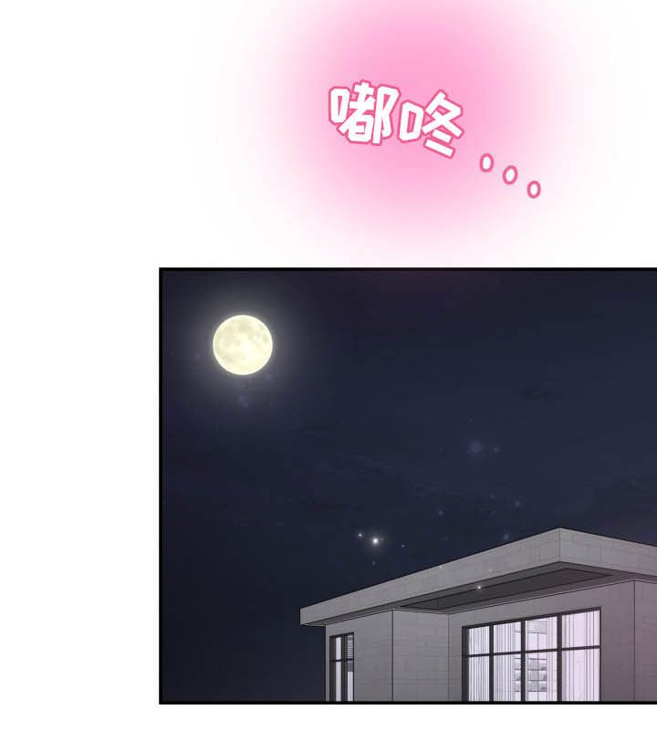 第27章：羽绒服