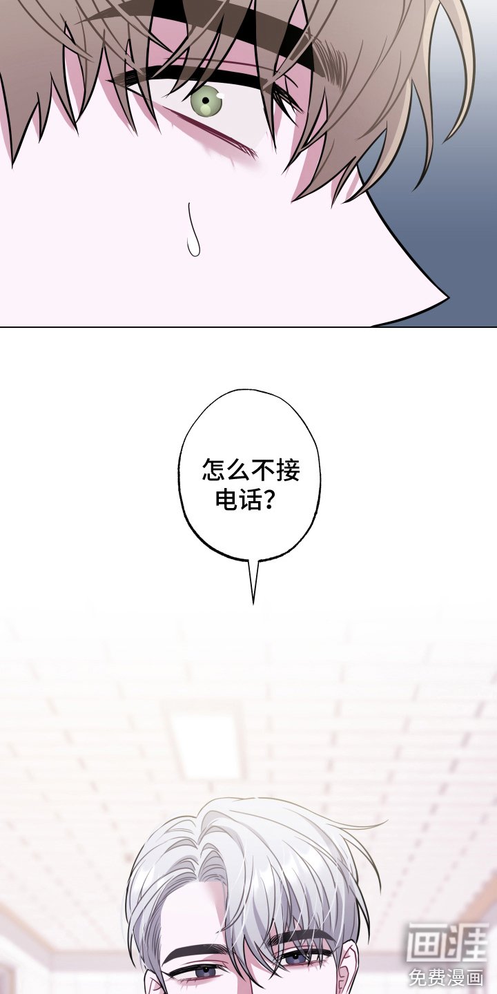 第13章：另一位成员