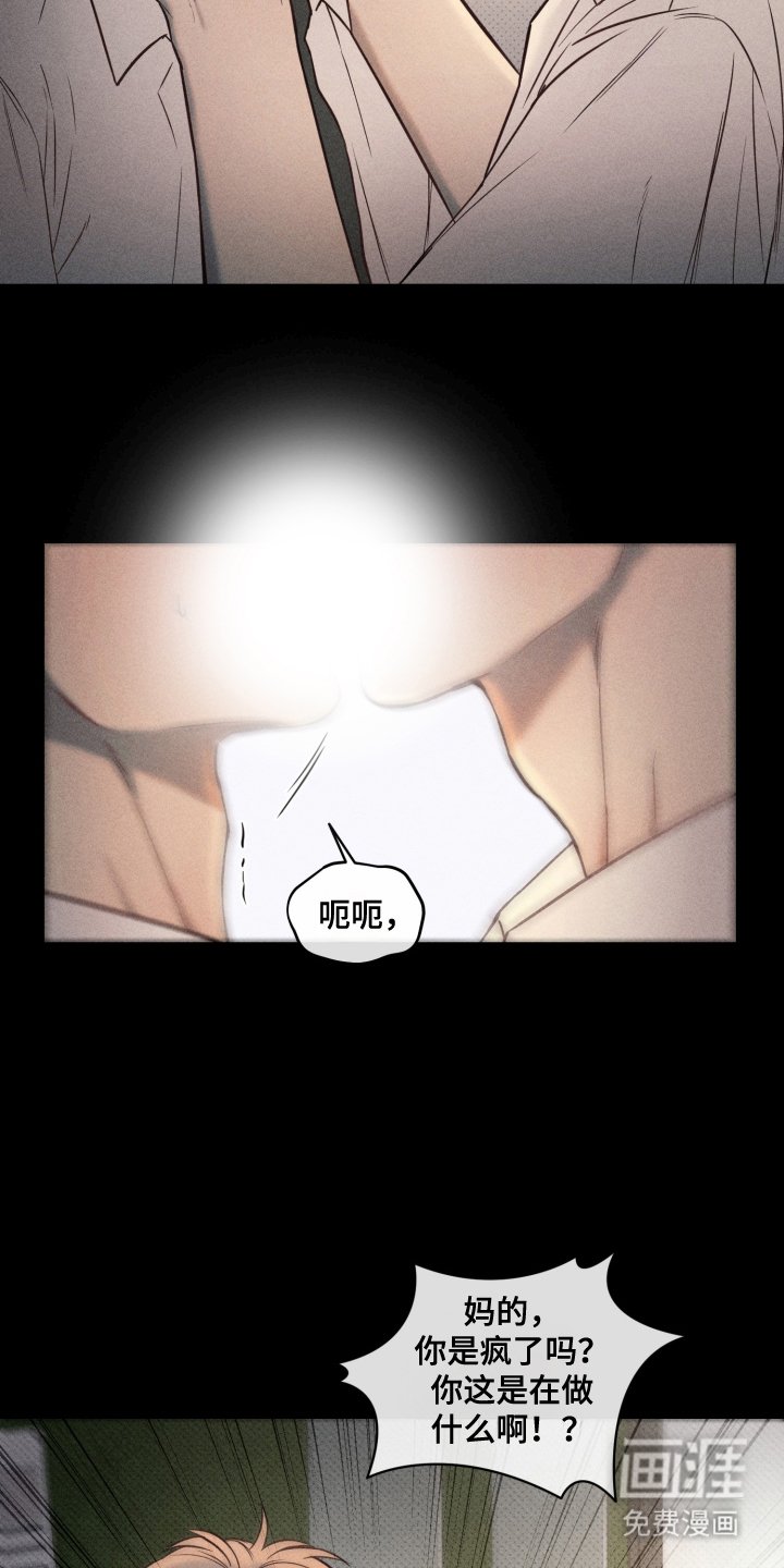 第11章：失去理智