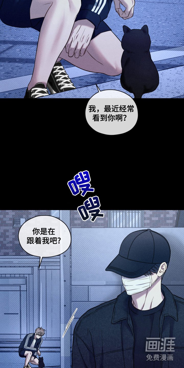 第22章：为时已晚