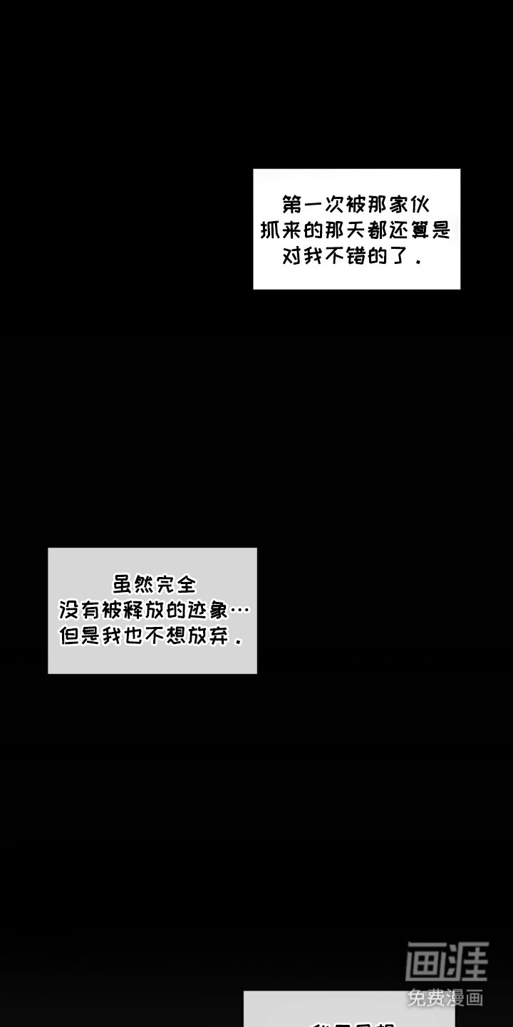 第5章：我错了