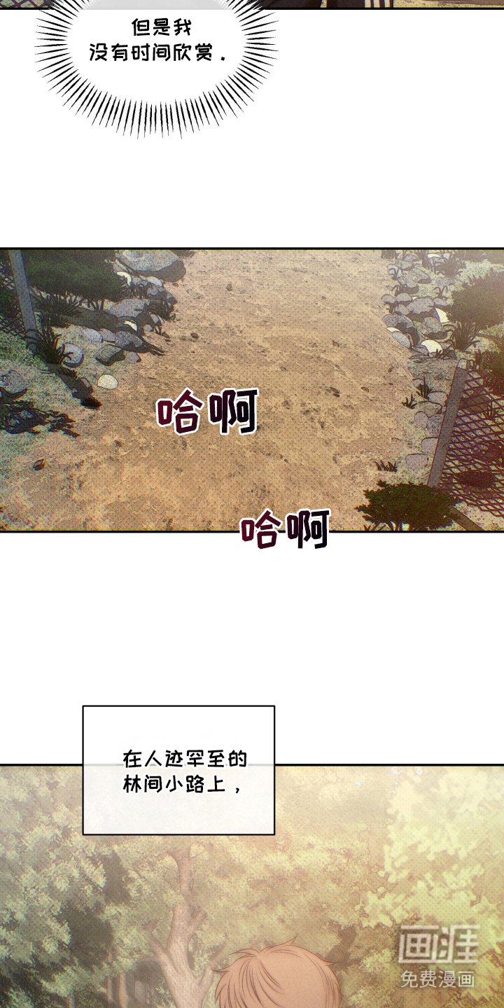 第7章：逃跑