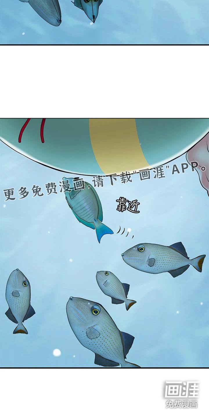 第47章：目光
