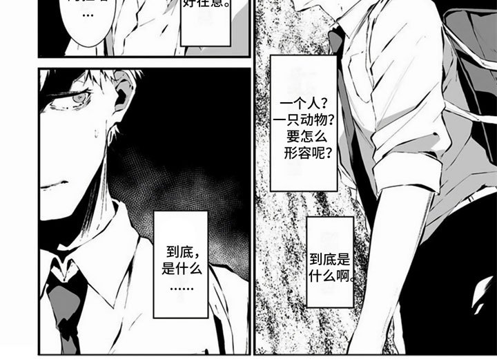 第12章：奇怪