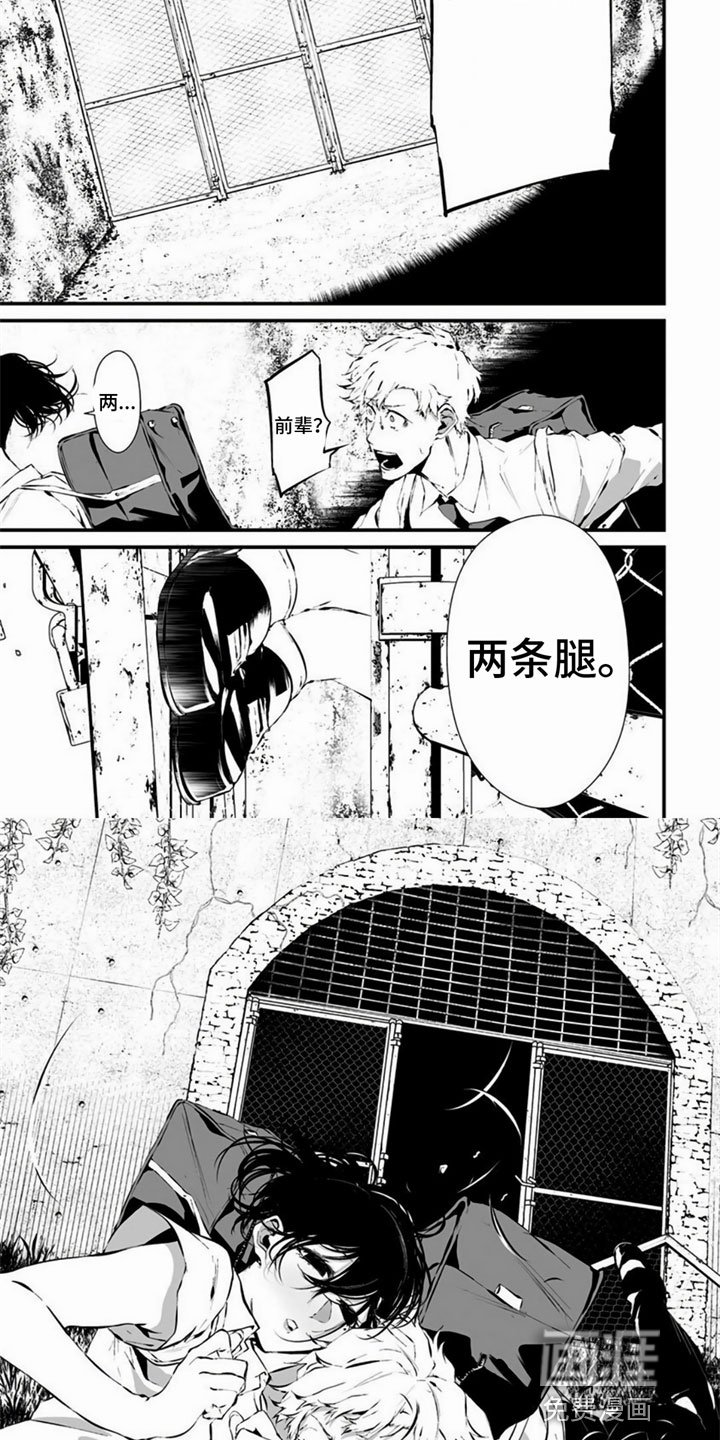 第13章：何方神圣