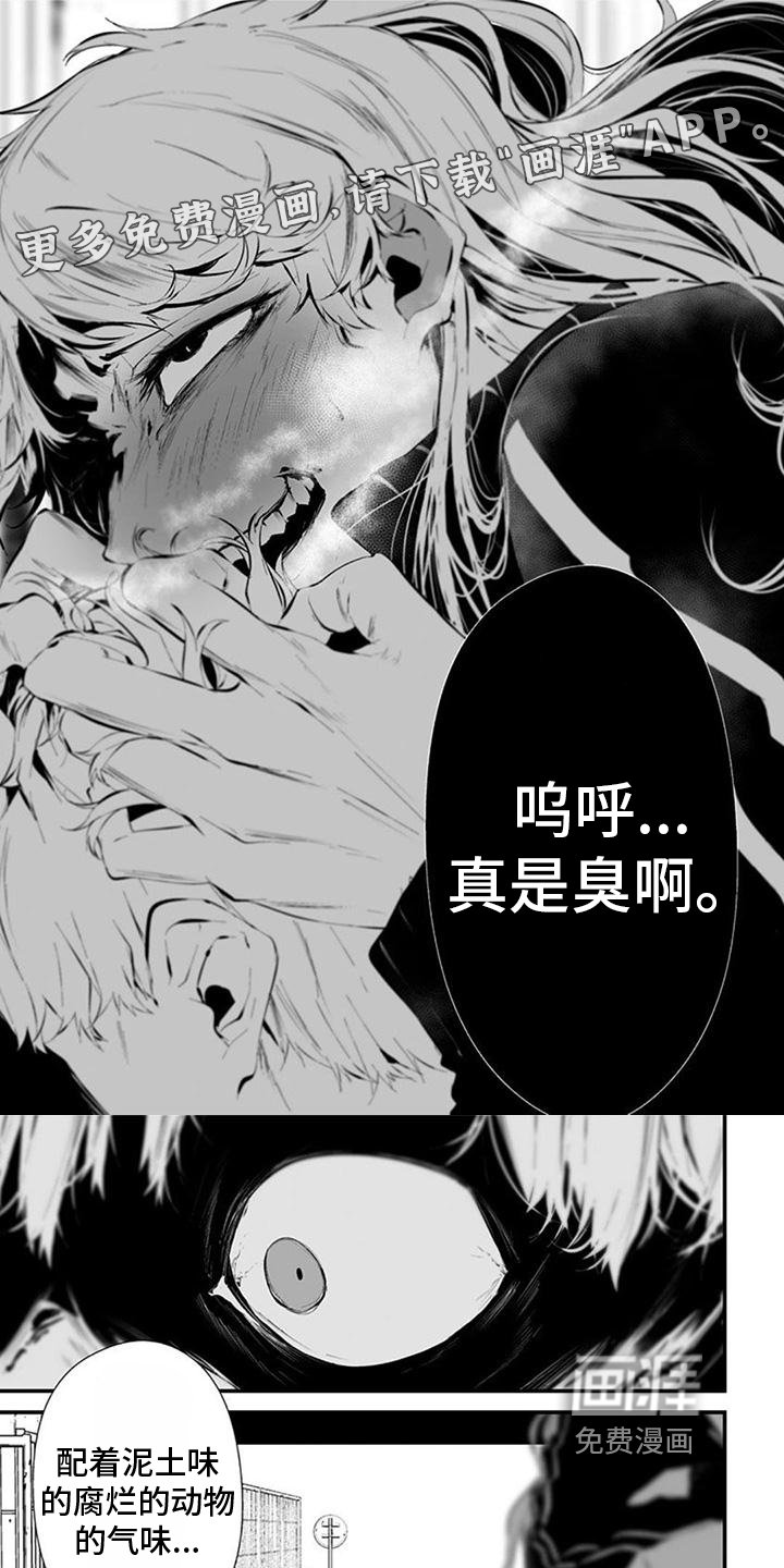 第22章：气味