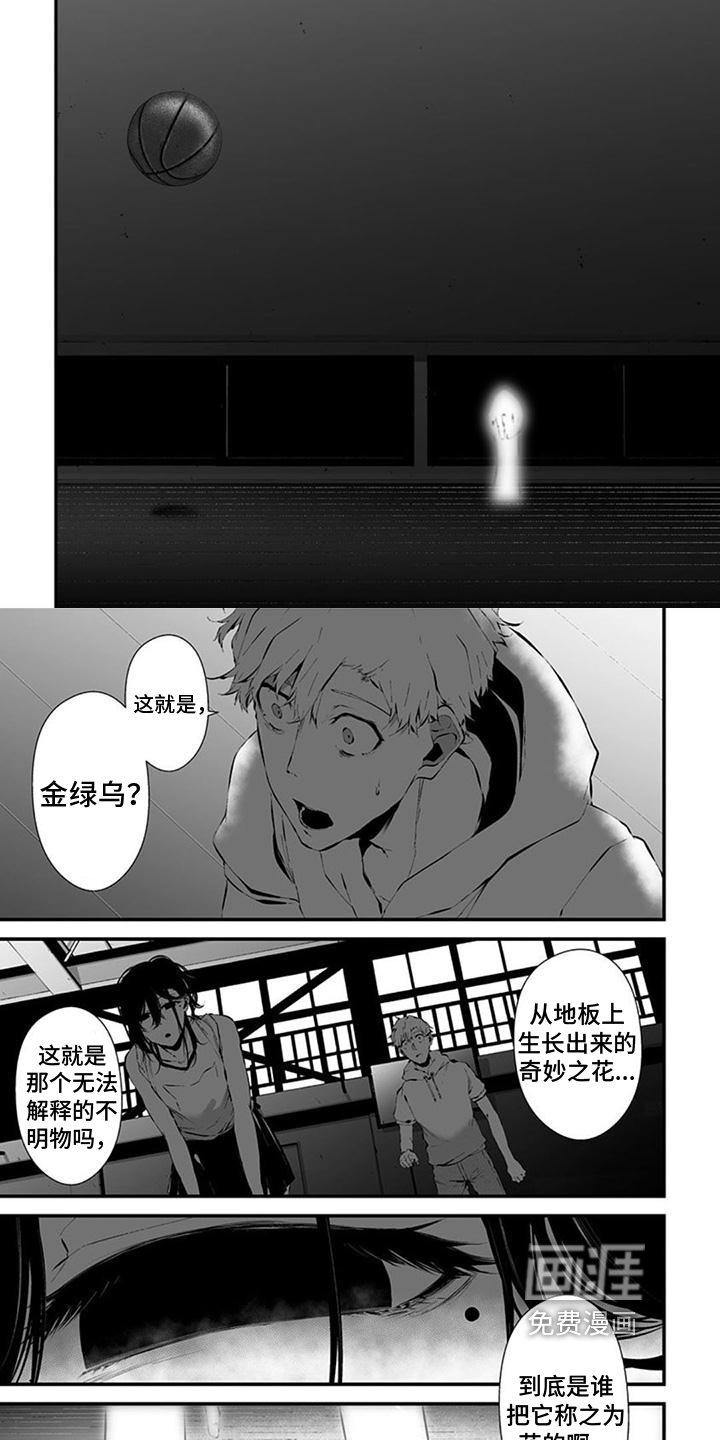 第29章：抓住