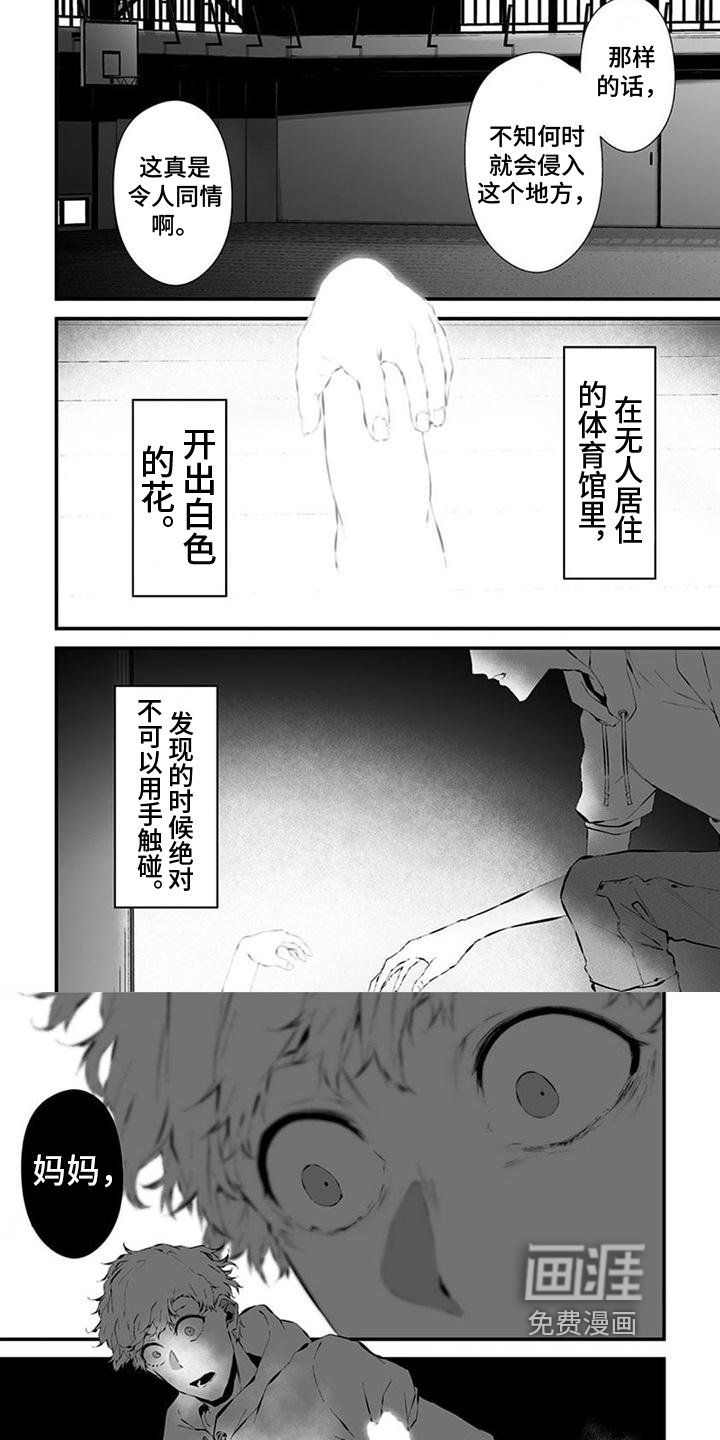 第29章：抓住