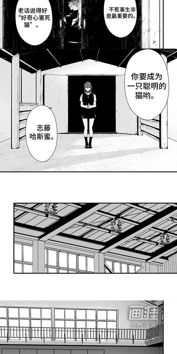 第33章：聪明的猫
