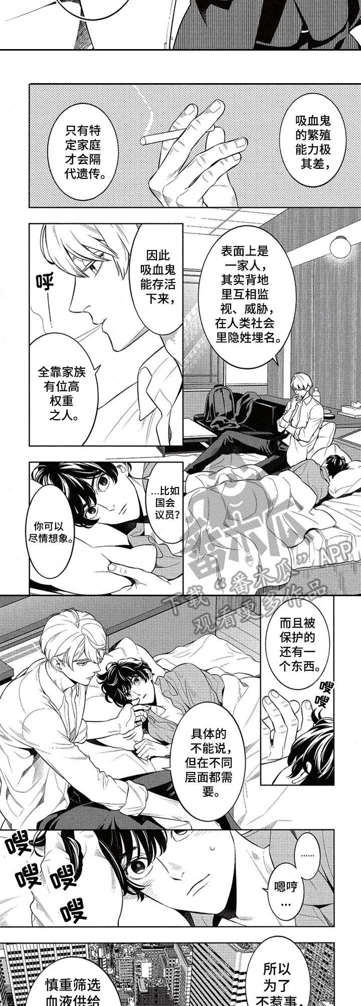 第5章：家族秘密