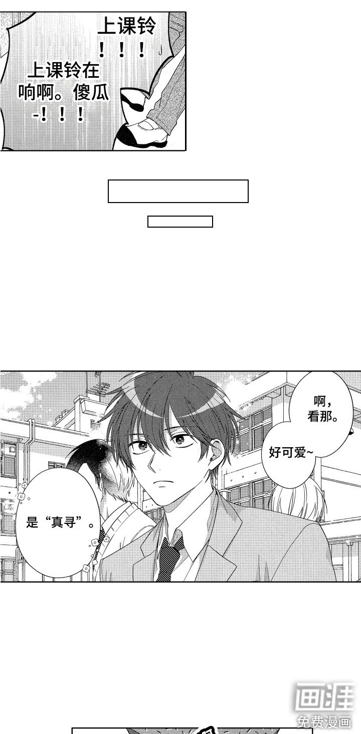第11章：很显眼