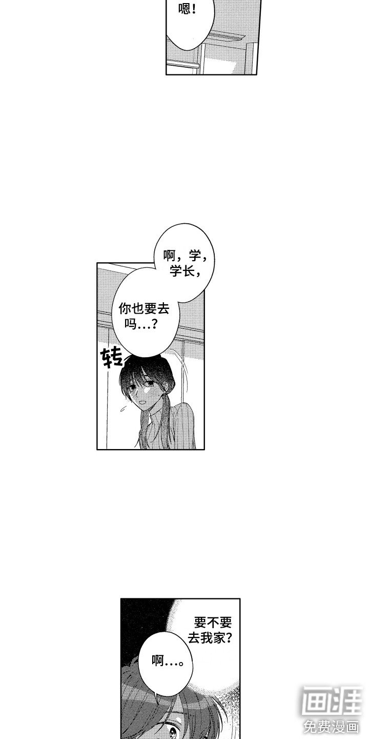 第19章：选择