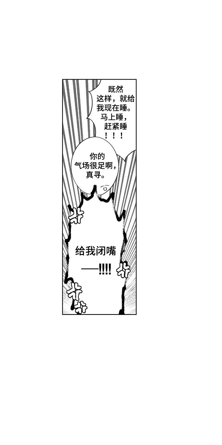 第2章：抱枕