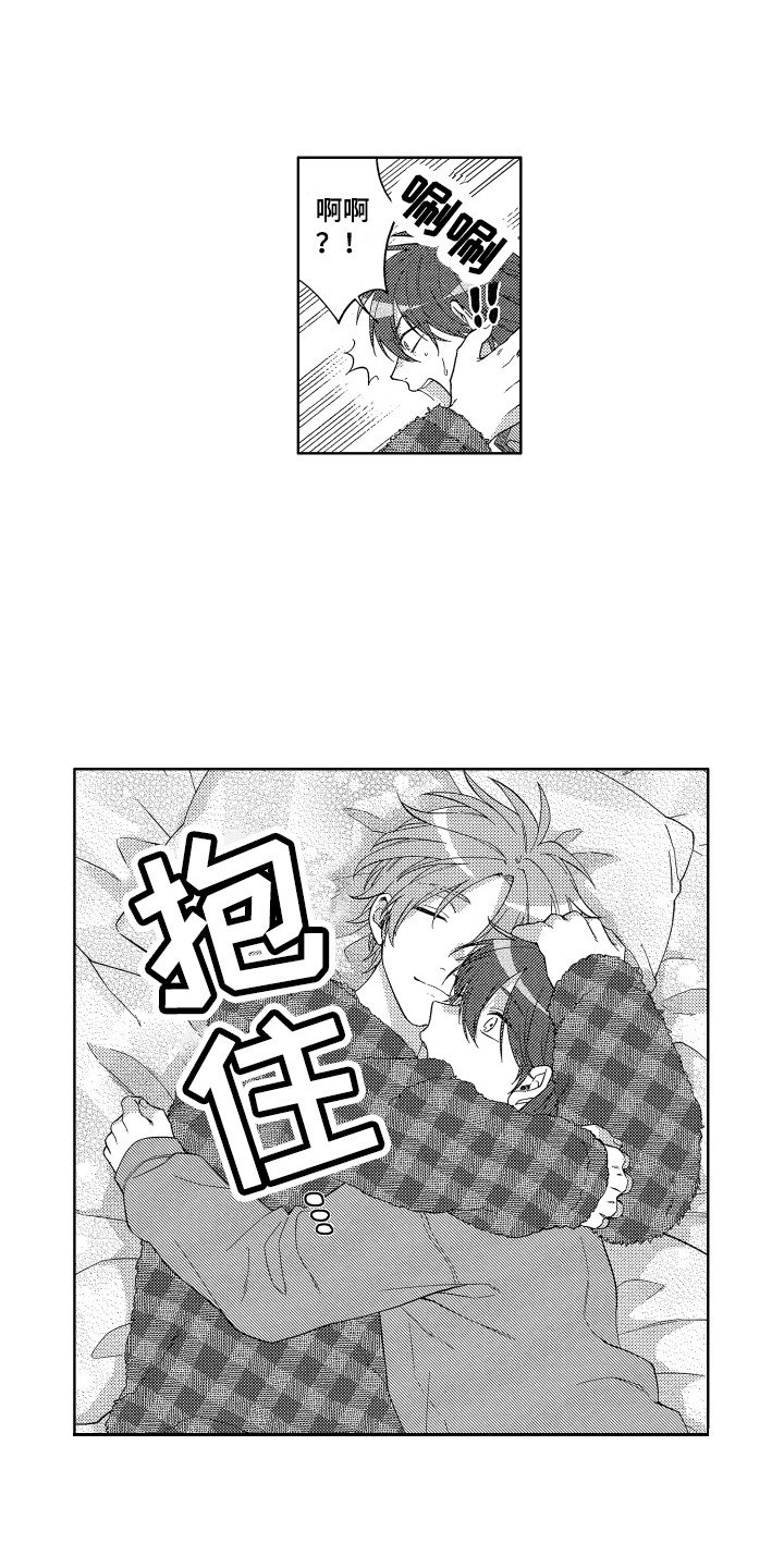 第2章：抱枕