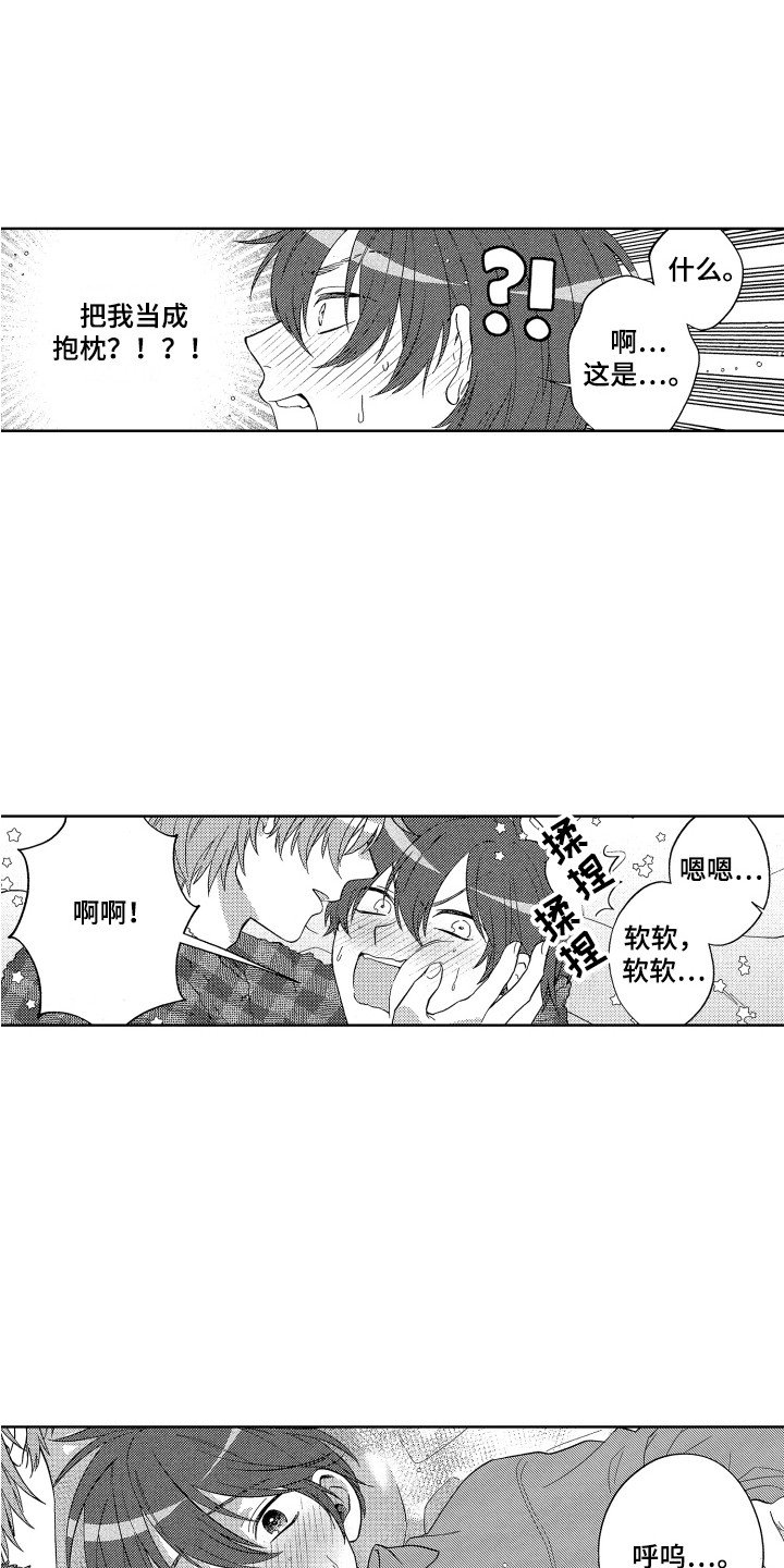 第2章：抱枕