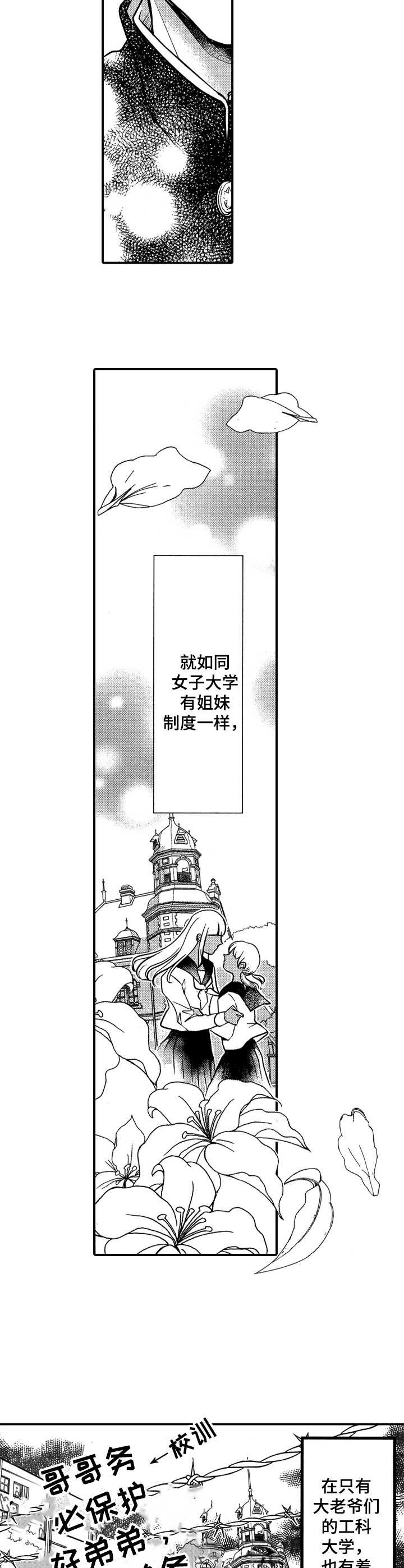 第1章：兄弟制度