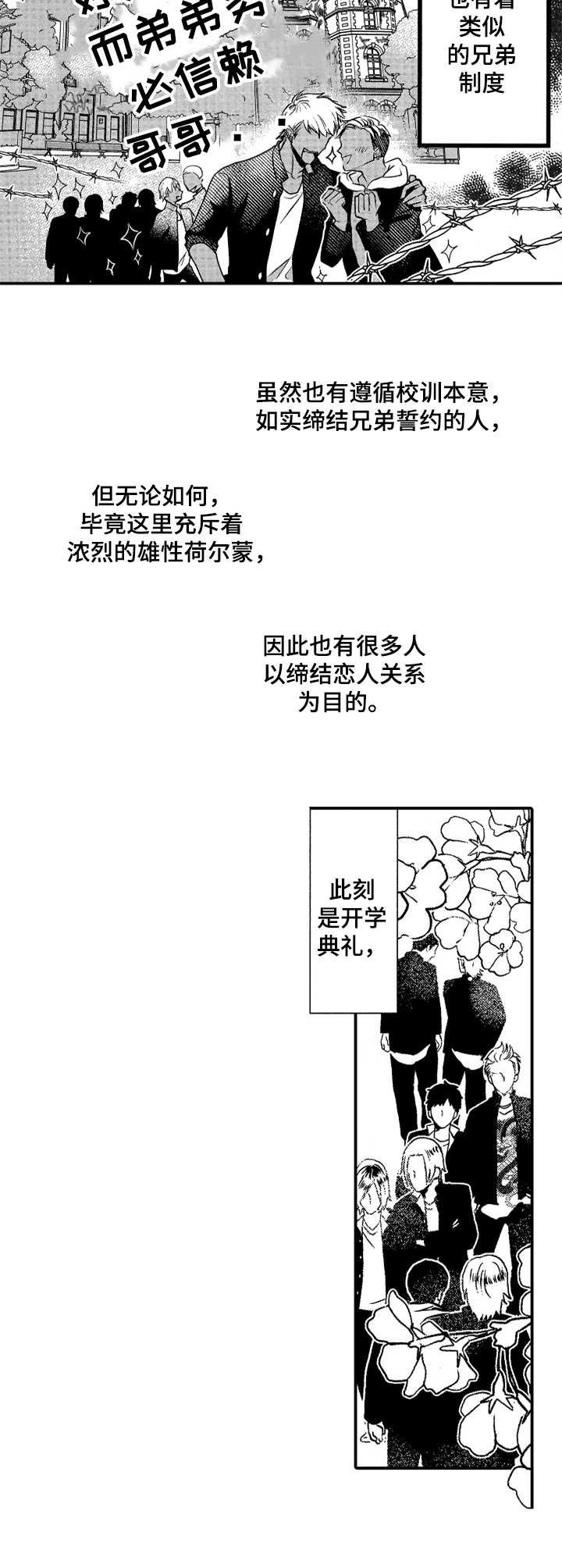 第1章：兄弟制度
