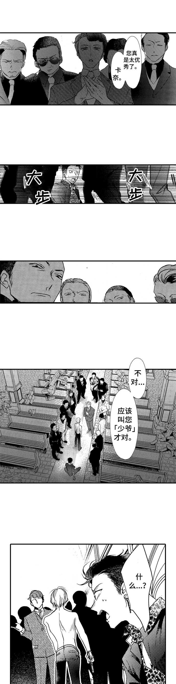 第17章：继承人