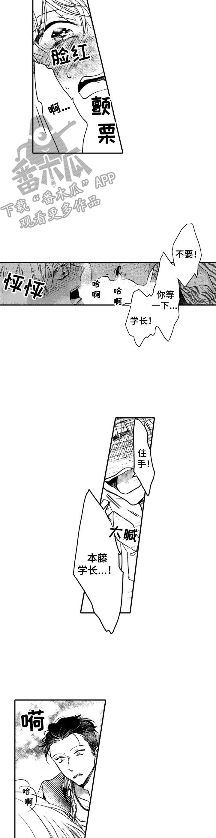 第5章：很可爱