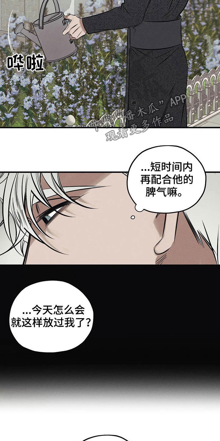 第19章：一样