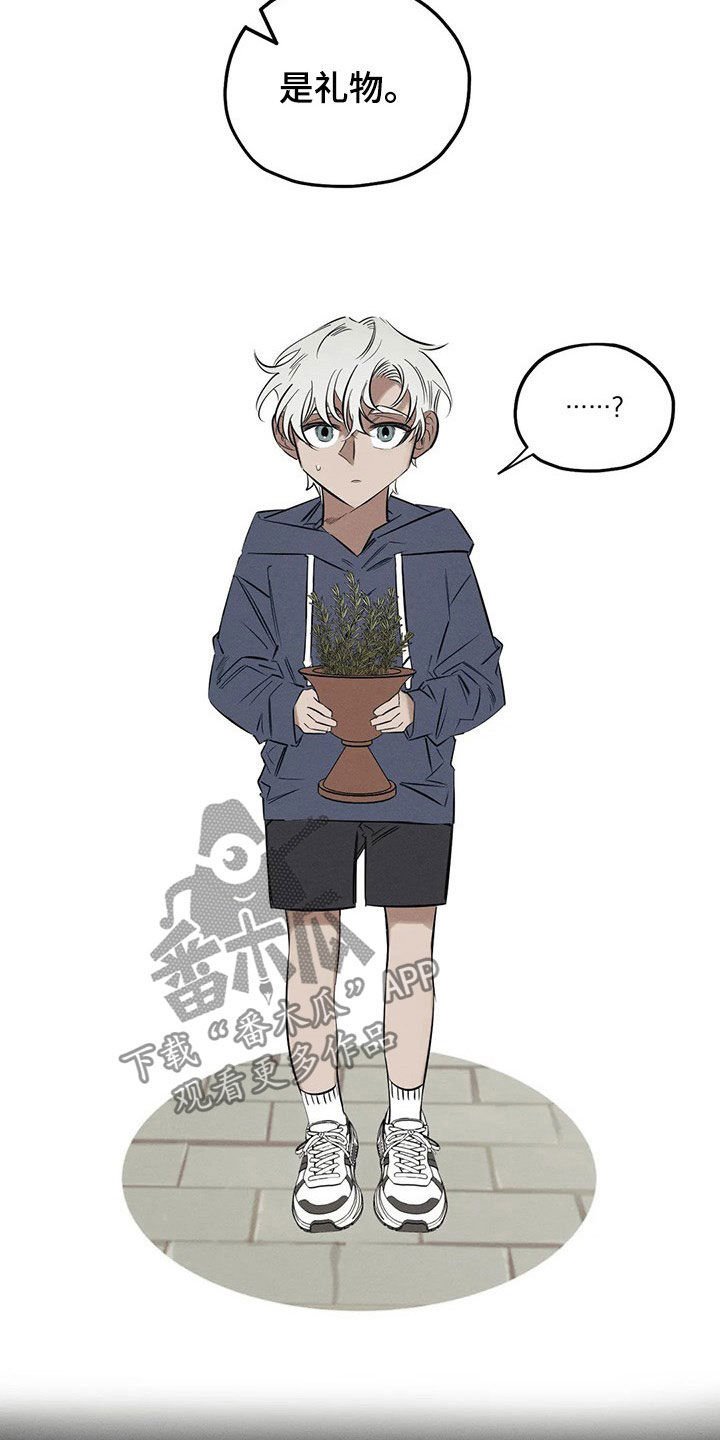 第19章：一样