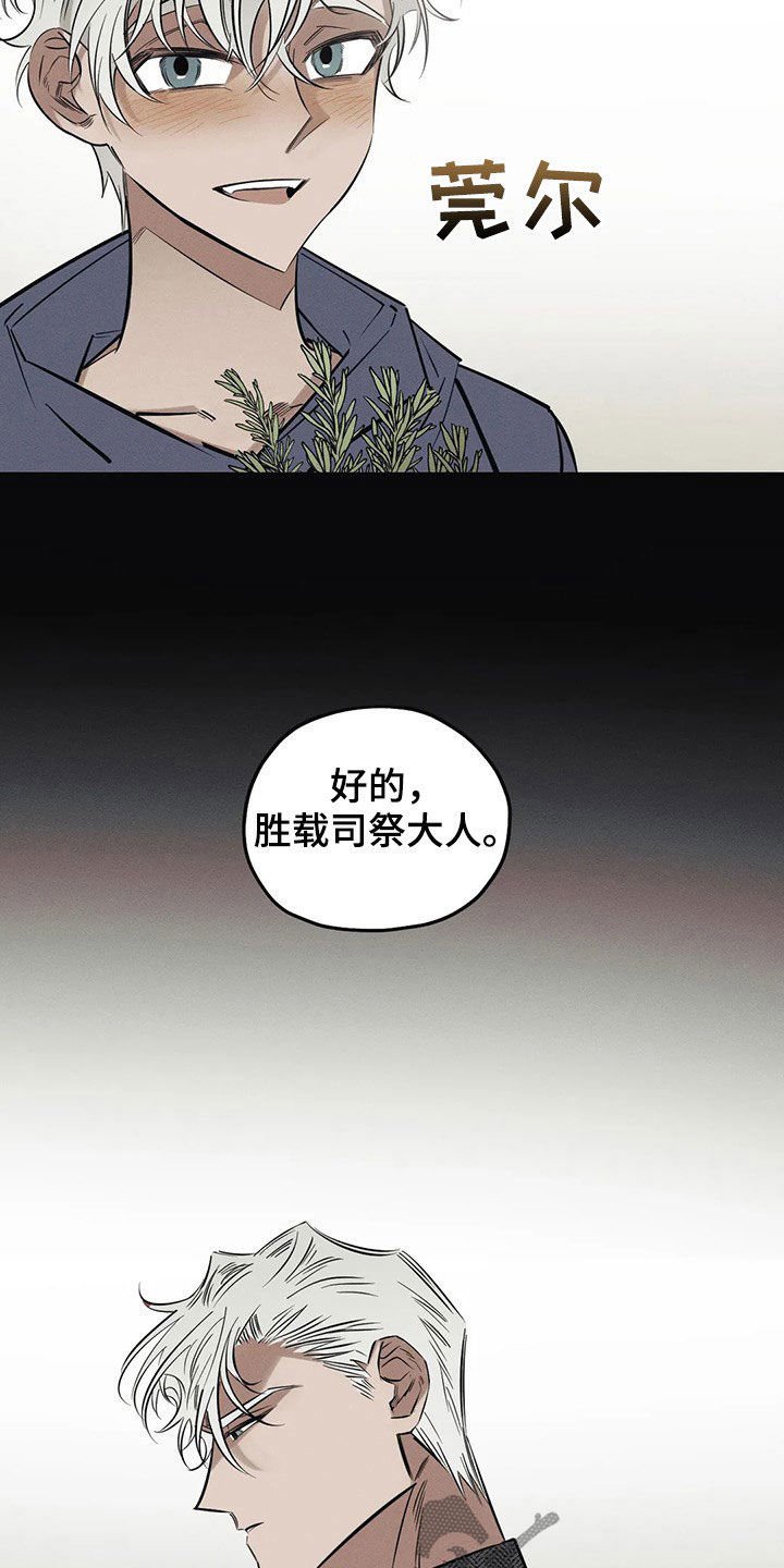 第19章：一样
