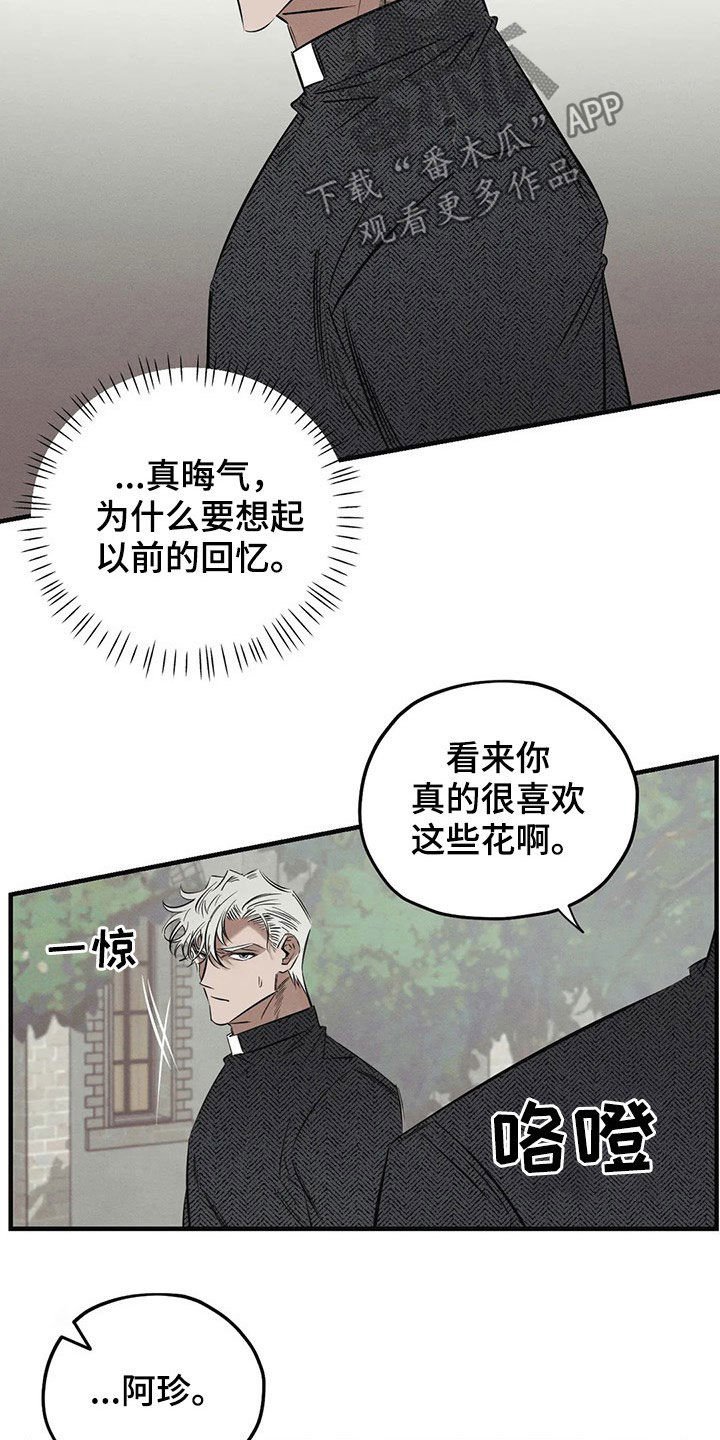 第19章：一样