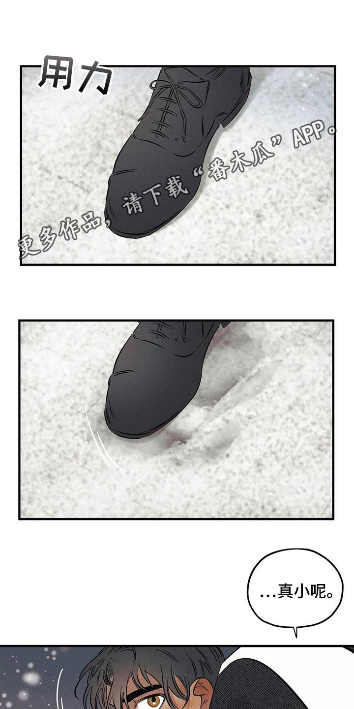 第26章：【圣诞特辑】许愿