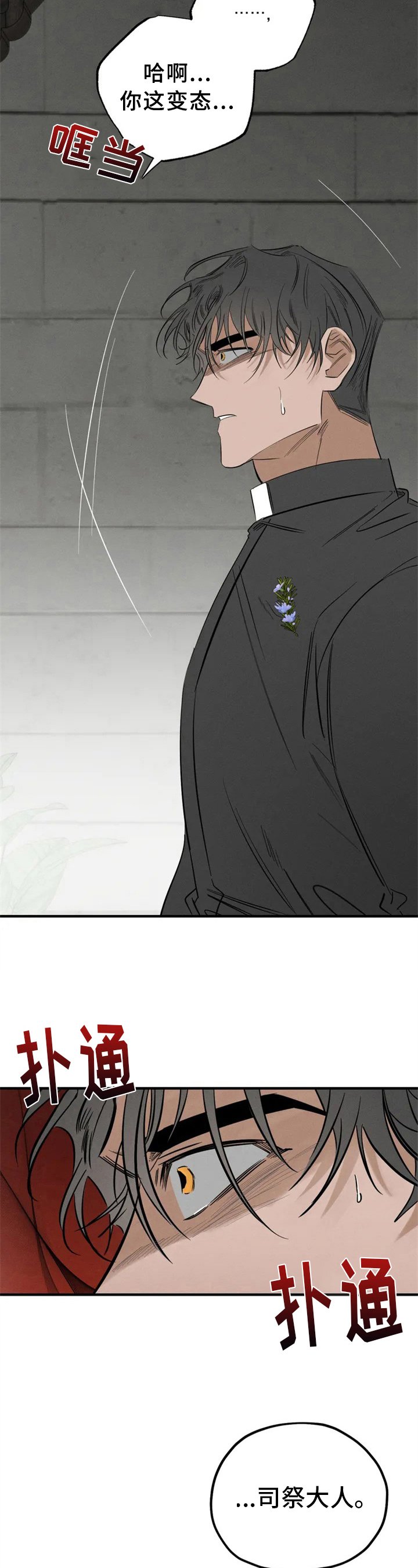 第3章：看见