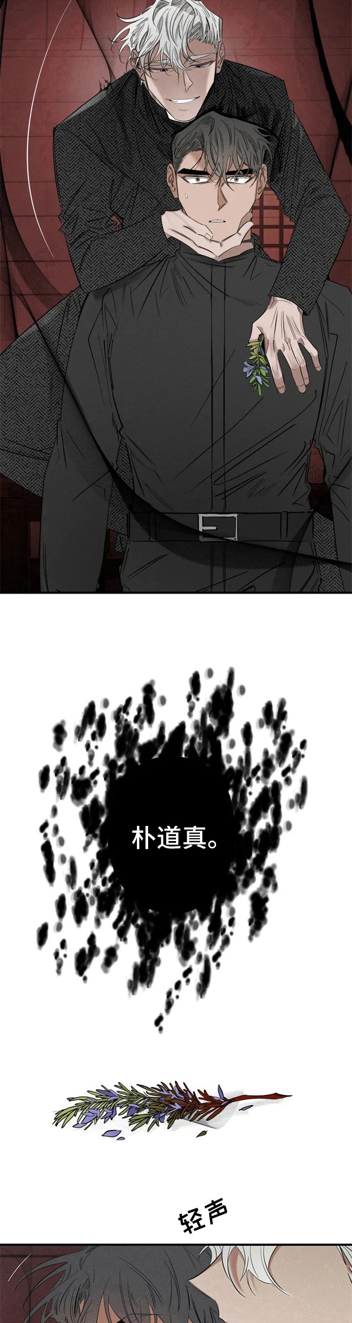 第3章：看见