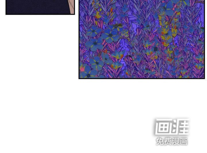第73章：难以相信
