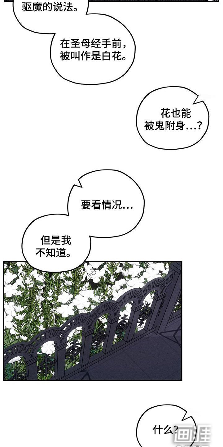 第81章：原来是你