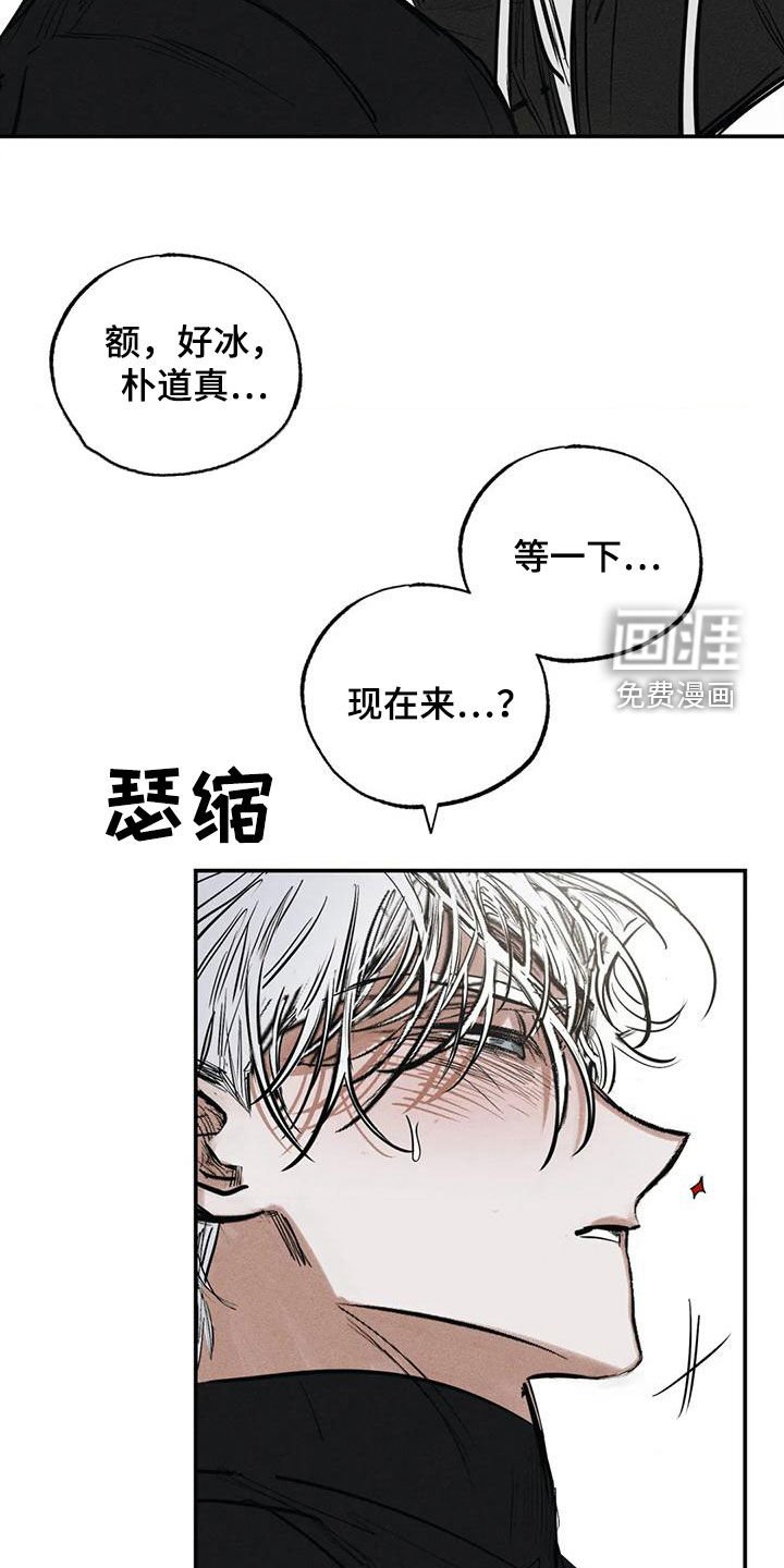第91章：不是谎话