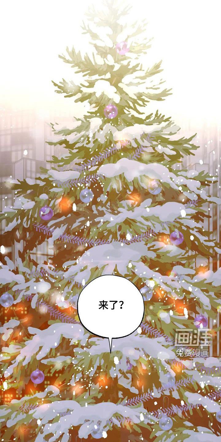 第96章：【番外完结】心愿实现