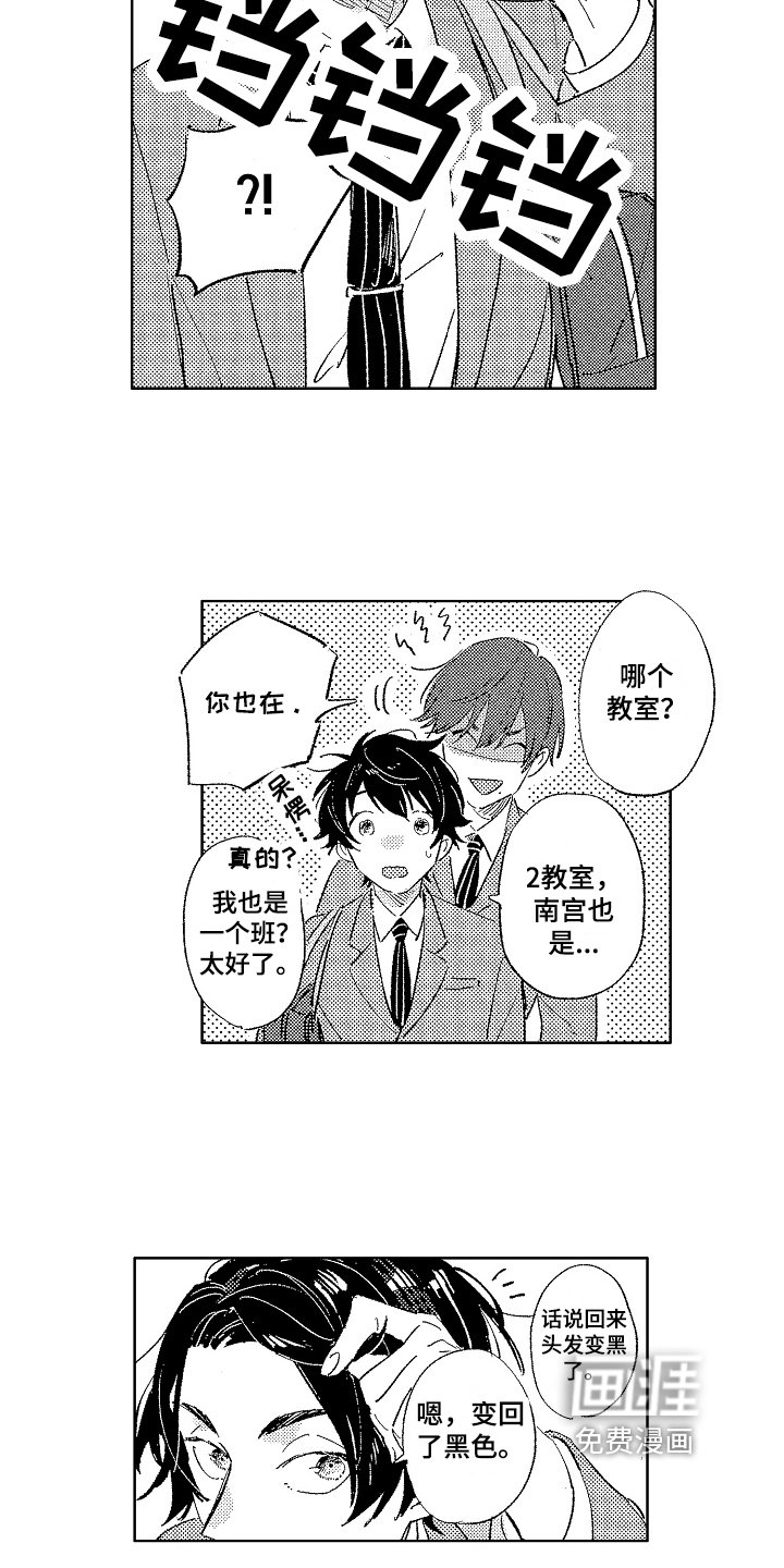 第16章：染发