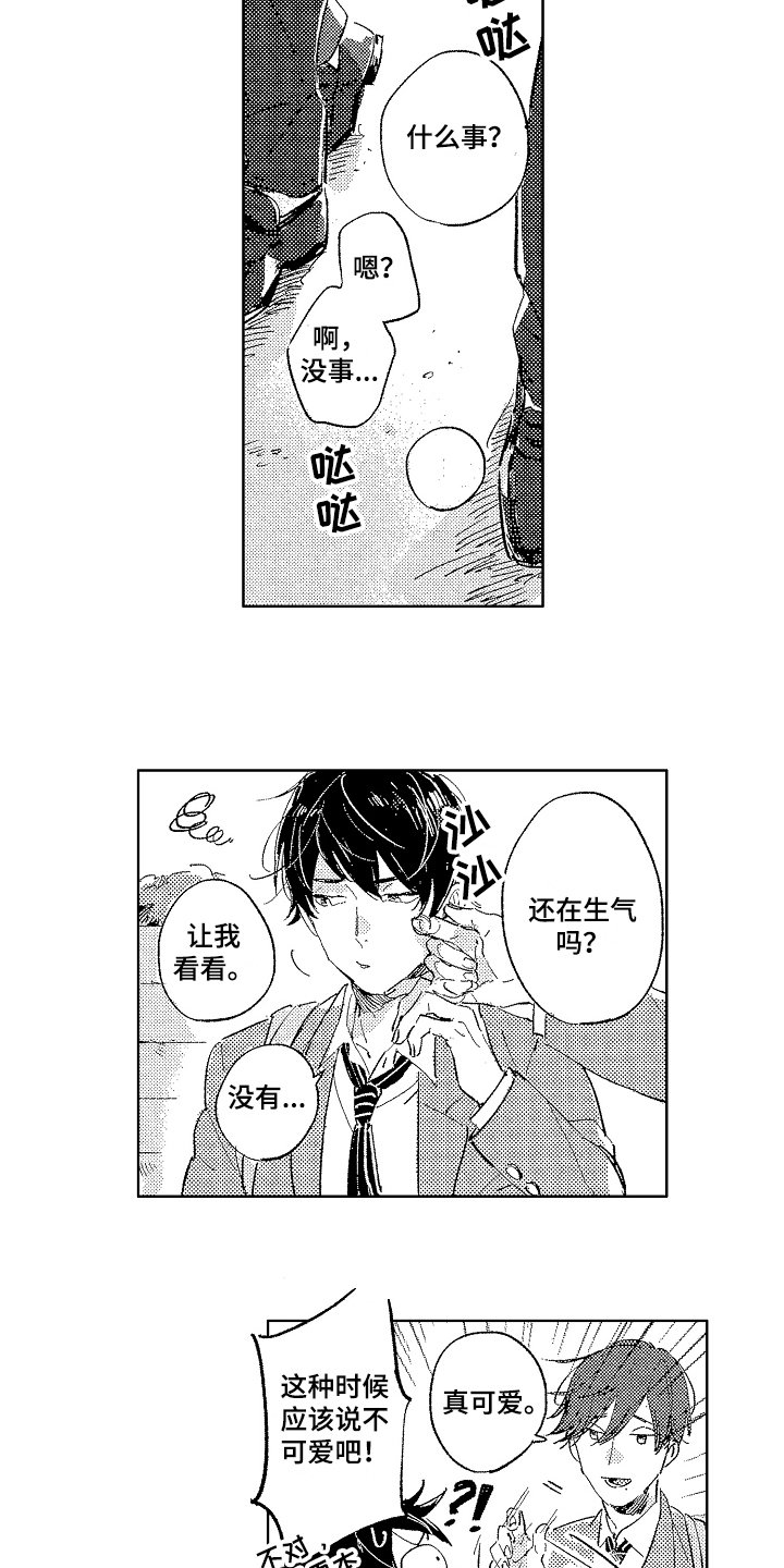 第3章：表白