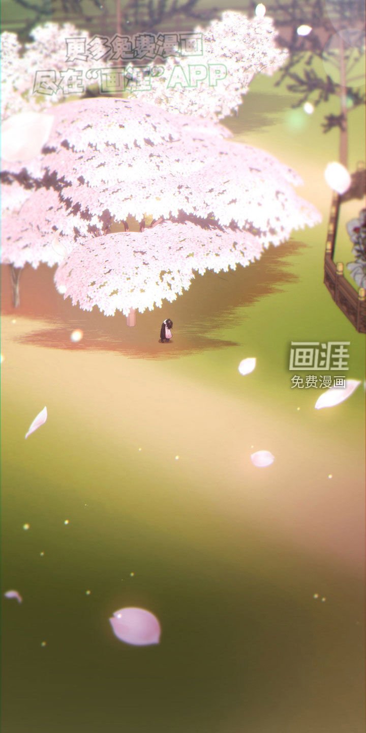 第104章：一年后