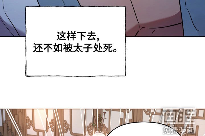 第66章：替代品