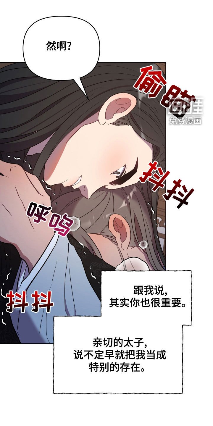 第66章：替代品