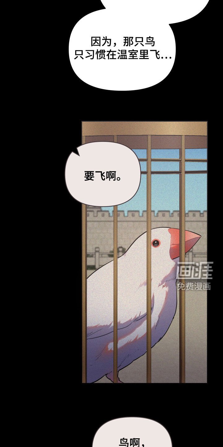 第71章：金盏草