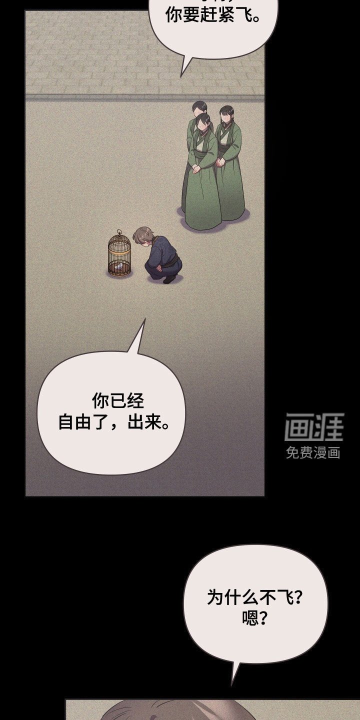 第71章：金盏草