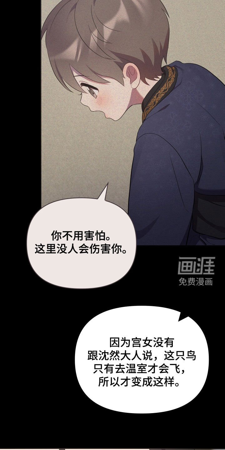 第71章：金盏草
